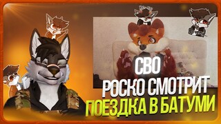 🐺 Роско смотрит Mr. Fox — о поездке в Батуми 🇬🇪