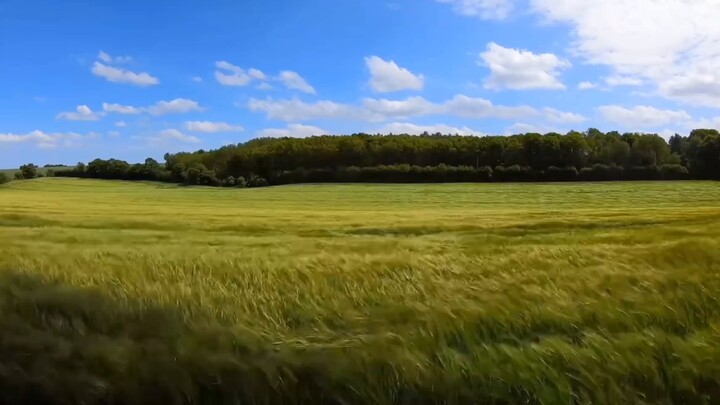 พายุระดับ 12 ที่ปักกิ่ง เทียนจิน และเหอเป่ย จะรุนแรงขนาดไหน? - การแสดงภาพความเร็วลม