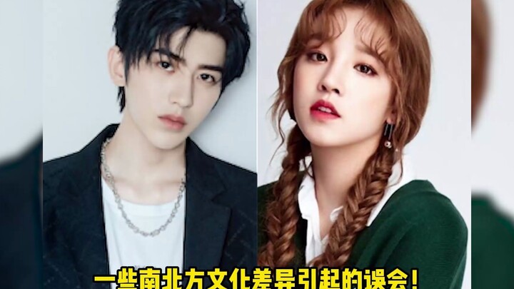 Cultural differences between the North and the South