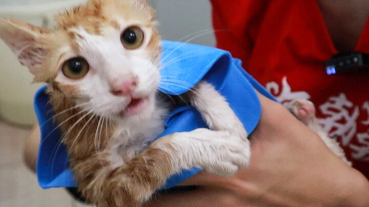 Bạn tưởng ở Quảng Đông thì có thể không tắm suốt mùa đông à? Chưa nghe về đợt lạnh ẩm “tấn công” sao