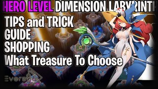 DIMENSION LABYRINTH HERO LEVEL GUIDE TIPS AND TRICK EASY CLEAR -   EVERSOUL