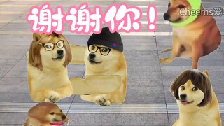 谢谢你！