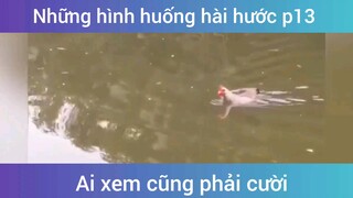 Những tình huống hài hước p13