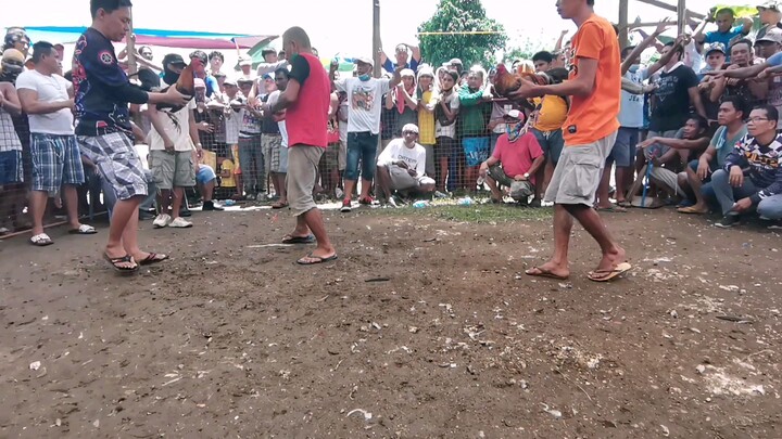 My Red Kelso Cross. Pang 2x win na laban sa pa hack Fight ng Piyesta. 5/23/22 Lapu-Lapu City, Cebu