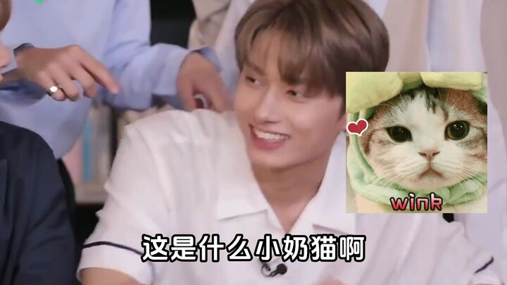 What a cute little kitten! Junni’s cat is coughing.