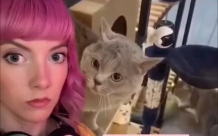 Cat Music