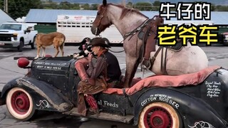 Those healing animal videos!