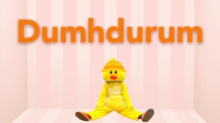 【鸭鸭也要裆部老荡荡～】APINK最新回归曲Dumhdurum舞蹈全曲翻跳