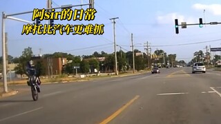 Officer A's Daily Life: You didn't see a thing—another peaceful and prosperous day for our country.