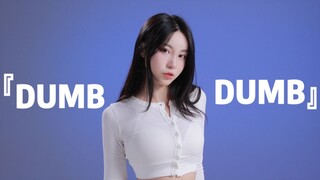 SOMI lagu baru DUMB DUMB, seluruh lagu di-cover sambil terus bergoyang (sekadar hiburan ringan)