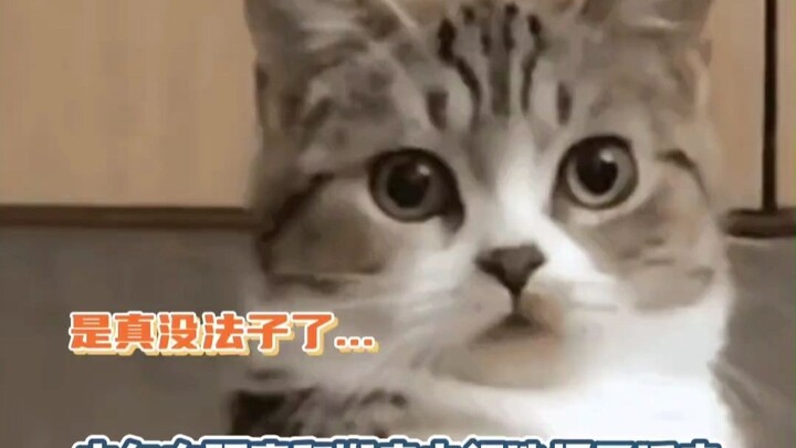 It’s not even about this—how can you all just say it so calmly?