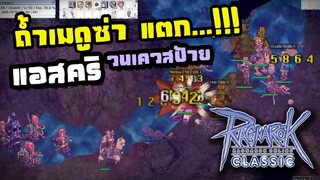 Ragnarok classic ถ้ำเมดูซ่า แตก..!!! วนเควสป้ายกันยาวๆ [แอสคริ]