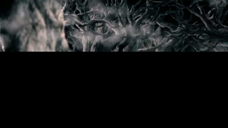 khu rừng quỉ dị #amv