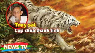 Một mình truy sát cọp chúa thành tinh giữa rừng già