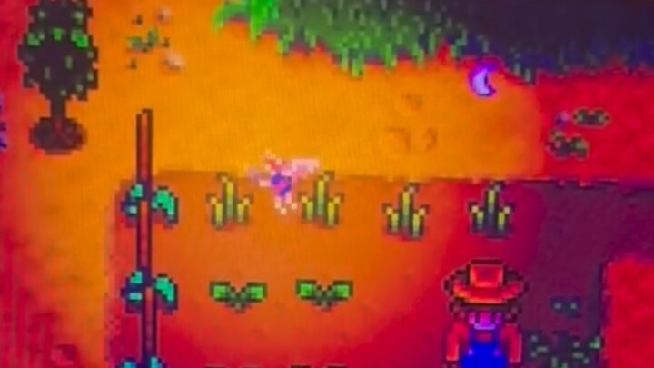 หุบเขาสตาร์ครอปฤดูใบไม้ผลิ 6 วัน: มีเอลฟ์ตัวน้อยมาเยือนบ้าน! มือใหม่หัดเล่นหุบเขาสตาร์ครอป