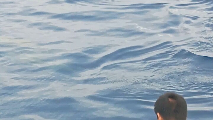NDFishing (Princess Aira)