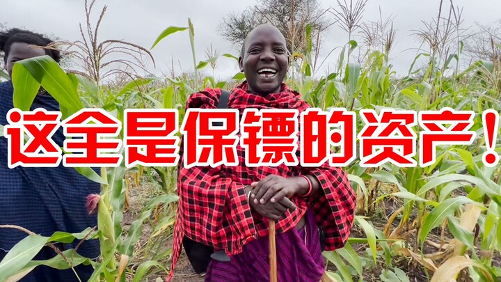 Pengawal Afrika akhirnya membuka kedok kekayaannya, ajak aku kelilingin aset keluarganya—posisinya b