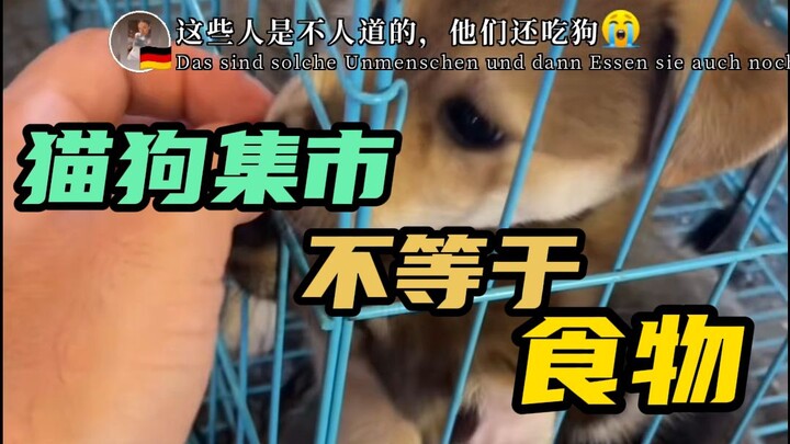 ชาวเน็ตต่างชาติชมตลาดสัตว์เลี้ยงของเรา (เวอร์ชันคำบรรยายสด)