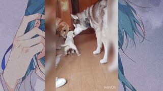 สัตว์ตลก_cut 145