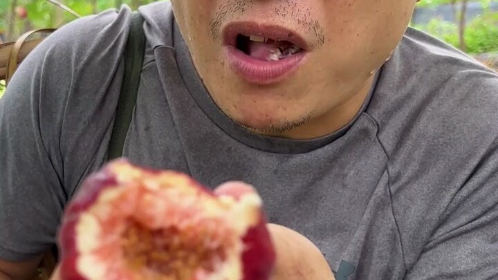 Mùa mưa khiến quả sung chín quá nhanh, không kịp gửi đến mọi người; nên mình làm thành sung khô — án