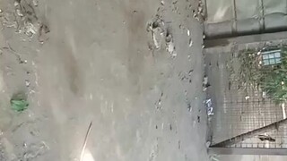 This Video was taken on November 6, 2023 at 3:19PM