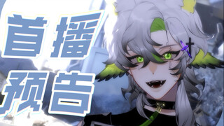 小鸟B限首播！3w粉庆贺！