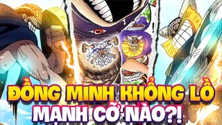 TỘC NGƯỜI KHỔNG LỒ MẠNH CỠ NÀO?! | ĐỦ SỨC HẠ LUÔN CÁC LÃO TINH?