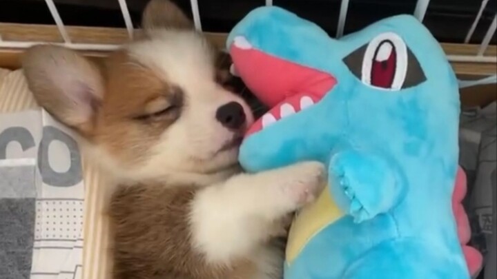 “This… this is just too cute!!”