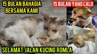 Innalillahi Wa Inna Ilaihi Rojiun Kucing Romla Meninggal Dunia..!