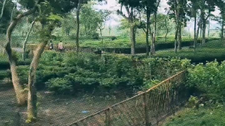 Sylhet