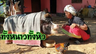 🐖รวยหนาวและหิวมากครับยาย🥶