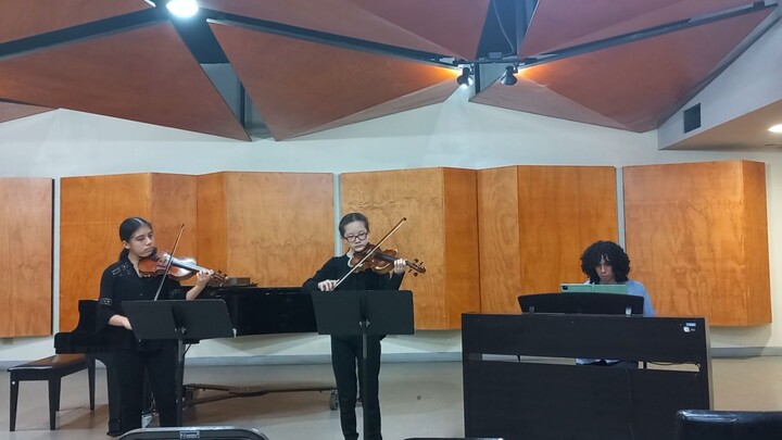 Yanlin and Meilin Alvarado Li - Bach - Violin Conc. D minor for 2 violins - 2nd mov