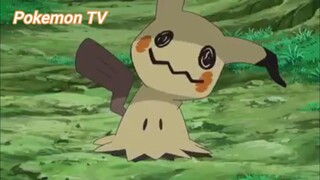 Pokemon Sun & Moon (Short Ep 3) #pokemon