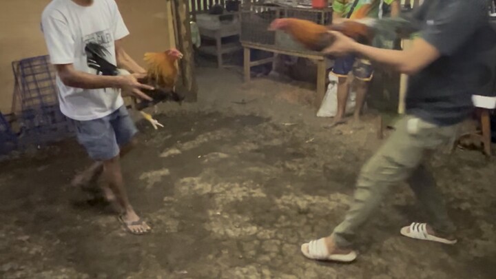 5k Sweater 3 yrs old