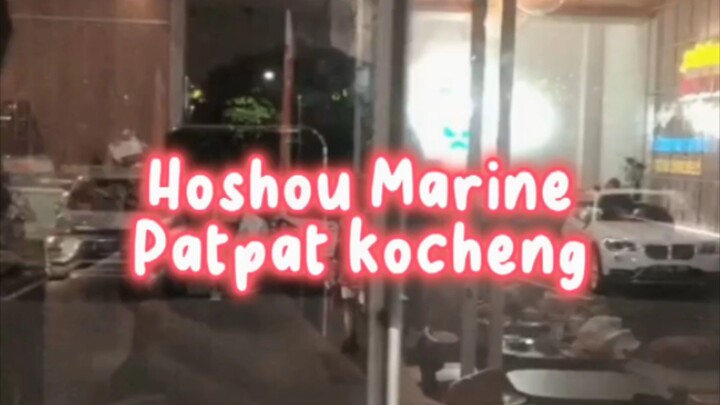 Hoshou Marine ft. kucing