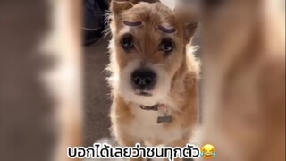 แค่ดูก็รู้แล้วว😆