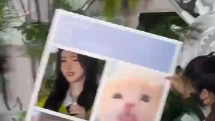 Cute