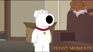 Family Guy Funny Moments