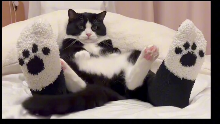 ลูกแท้ๆ ของแม่เลย! หน้าเหมือนแม่เป๊ะเลย