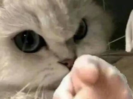 الدرس الأخير في المدرسة: «لا تسرب ماء»