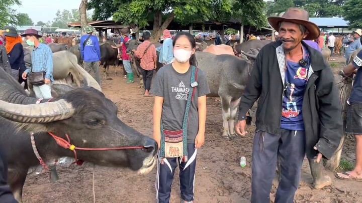 พ่อเส็งพาหมูหันไปปราบนางฟ้าสนาม