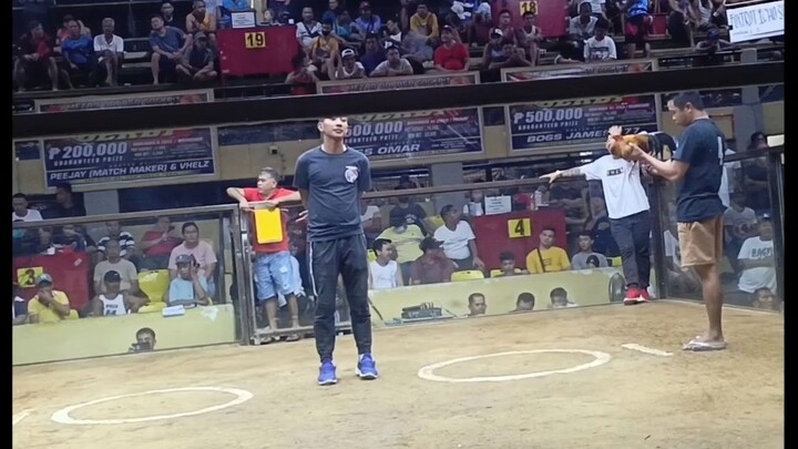 2x winner MBC local edition 6x combo