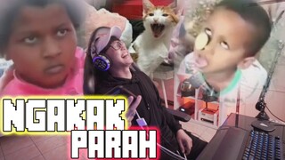 GUE GA TAHAN 🤣🤣🤣
