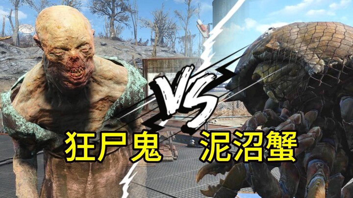 [辐射 Colosseum] Mad Shiki VS Mud Crab