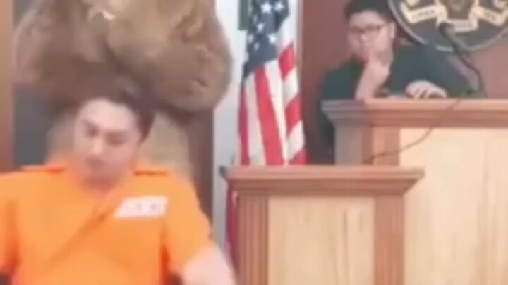 ดูสิ คุณยังจะแสร้งต่อไปอีกไหม