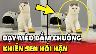 Dạy Hoàng Thượng BẤM CHUÔNG khi đói và cái kết không ngờ 😂 | Yêu Lu