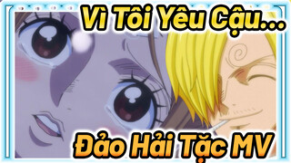 Cậu Không Nhớ Cũng Không Sao, Vì Tôi Yêu Cậu | Đảo Hải Tặc MV