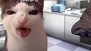 [Familiar/cat meme] Khi công ty tang lễ gặp đại gia... (2)