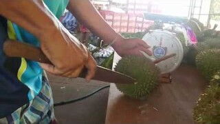 Cheap Durian in Thailand เจอทุเรียนราคาถูก ถึงกับรุมกันซื้อ ทุเรียนใต้ปอกง่าย หมอนทอง ก้านยาว ชะนี