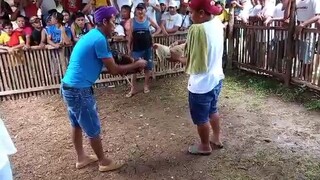 win naka chamba